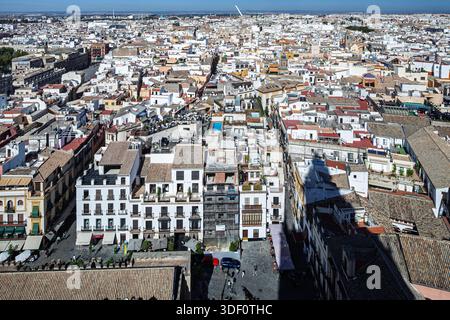 Ampia vista a nord dalla Giralda di Siviglia, con la sua ombra sulla città andalusa. I tetti e l'architettura dettagliata mostrano quello spagnolo Foto Stock