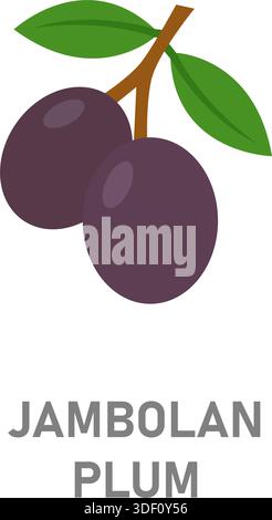 Prugne Jambolan, frutta jamun. Icona di frutta tropicale viola isolata su sfondo bianco Illustrazione Vettoriale