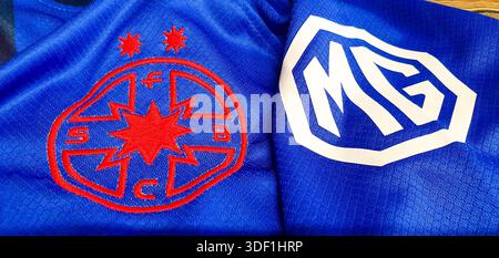 FCSB Bucarest squadra di calcio (ex Steaua) logo-emblema su una t-shirt ufficiale, più campioni di calcio rumeni, squadra rinomata in Europa. Foto Stock