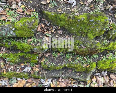 Scalini di pietra ricoperti di muschio e texture di roccia intemprata Foto Stock
