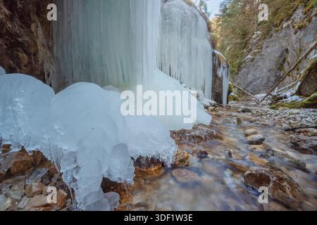 Vista delle cascate ghiacciate che scendono lungo le scogliere rocciose, creando un'incredibile esposizione di formazioni ghiacciate a Maly Sokol, Slovensky Raj, regione di Kosice, Foto Stock
