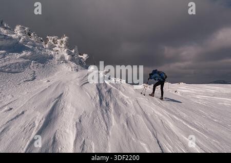 Vista di un escursionista solitario che cammina attraverso una cresta di montagna coperta dal vento sotto un cielo rigoglioso, Velka Chochula, Zilinsky kraj, Slovacchia. Foto Stock