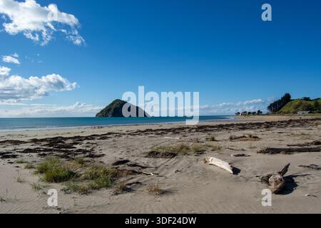 Una tranquilla spiaggia caratterizzata da una spiaggia sabbiosa con paludi e alghe sparse. Sullo sfondo, una piccola isola sorge dalle calme acque blu u Foto Stock