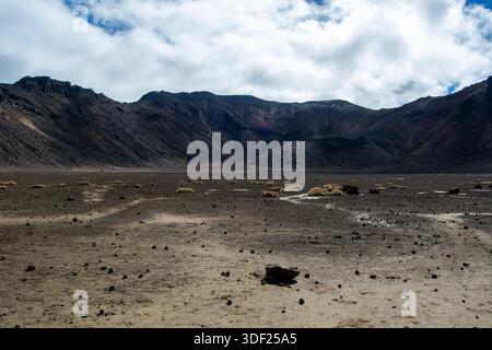 Un paesaggio arido caratterizzato da un cratere vulcanico circondato da aspre montagne. Il terreno è asciutto e incrinato, con vegetazione sparsa e roc sparso Foto Stock