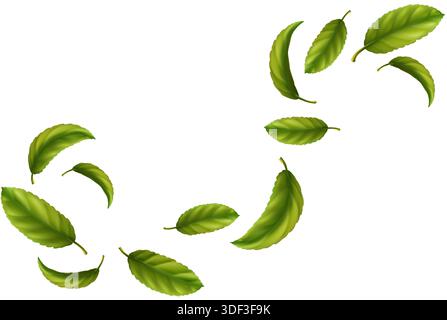 illustrazione realistica dell'icona vettoriale. Onde volanti in caduta con foglie di tè verde isolate sullo sfondo. Illustrazione Vettoriale