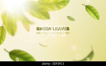 banner grafico vettoriale realistico. Effetto foglie di tè verde volante con sunbeam. Illustrazione Vettoriale