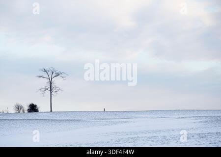 Un campo innevato con un cielo grigio Foto Stock
