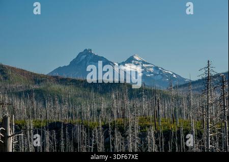 Due delle tre Sorelle dell'Oregon (North e Middle Sister) viste dalla cima devastata dal fuoco della Santiam Highway (US 26), nel tardo pomeriggio Foto Stock