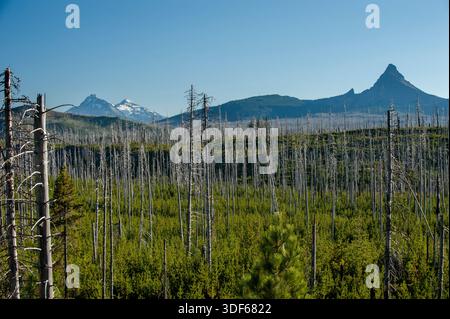 Tre vulcani dell'Oregon: La sorella del Nord, la sorella di mezzo e il monte Washington - come si vede dalla cima devastata dal fuoco della Santiam Highway (US 20) tra Foto Stock