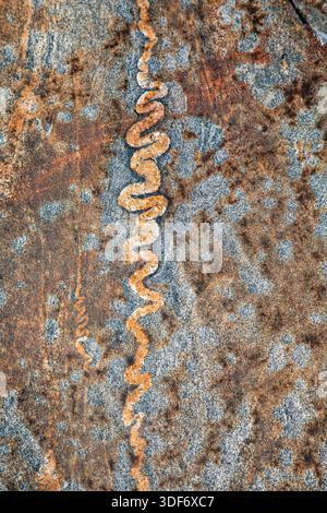 Migmatite banchiata su una roccia metamorfica della costa nell'isola Liuskasaari, Helsinki, Finlandia Foto Stock