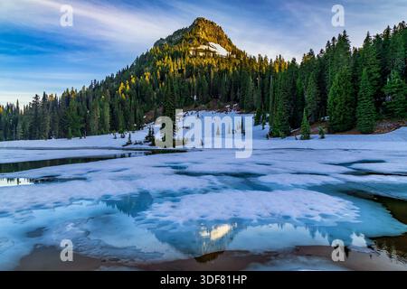 Il Monte Rainier, Washington, Stati Uniti d'America Foto Stock