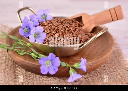 Utili semi di lino in una ciotola di metallo con fiori di lino. Primo piano. Foto Stock