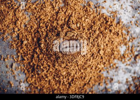 Carni arrosto di chicco di caffè getta sul mucchio di caffè macinato Foto Stock