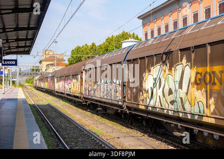 Immagine scattata nella stazione ferroviaria della città di Lucca, Italia, che mostra un treno merci coperto di graffiti e arte urbana. Foto Stock