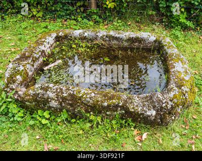 OLYMPUS DIGITAL CAMERA Foto Stock