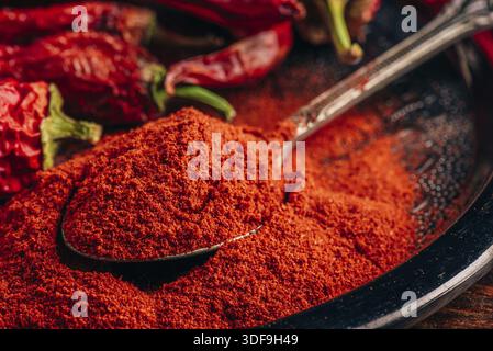 1 cucchiaio di peperoncino rosso in polvere pepe con peperoni secchi Foto Stock