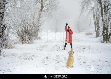 Donna alza la mano per addestrare un Labrador retriever seduto su un sentiero innevato in una foresta invernale nebbiosa, con alberi ghiacciati e un momento di allenamento tranquillo. Foto Stock