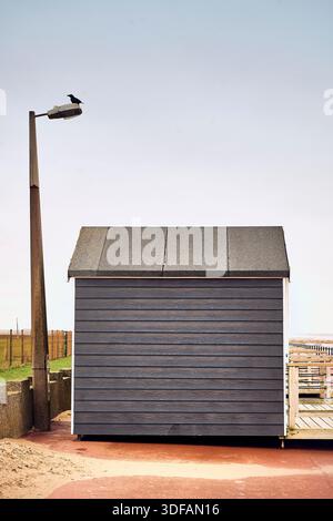 Capanna Blue Beach, lampione e uccello, St Annes, Regno Unito Foto Stock