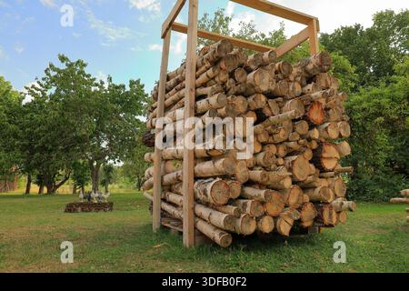 Abbondanza di legno. Giorno d'estate. Betulla in un mucchio. Foto Stock