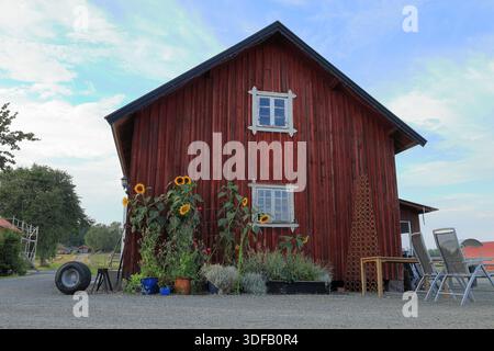 Casa rossa in campagna. Giorno d'estate a luglio. Vicino a Skara, Svezia. Foto Stock