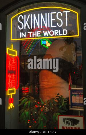La vetrina al neon si trova presso il Sam Kee / Jack Chow Building, l'edificio commerciale più sottile del mondo, a Chinatown, Vancouver, BC. Foto Stock