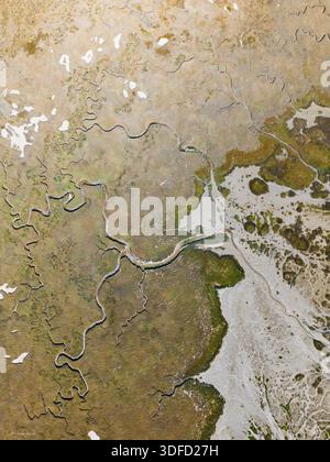 Veduta aerea dei tortuosi corsi d'acqua che si snodano attraverso la palude, creando un arazzo di texture e tonalità, Plouharnel, Morbihan, Francia. Foto Stock