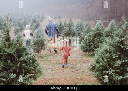 padre e figli nella fattoria degli alberi Foto Stock