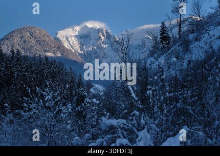 Berchtesgaden, Deutschland 11.01.2026: IM Bild: Blick auf die winterliche Berglandschaft im Berchtesgadener Land mit schneebedeckten Hängen und bewaldeten Flanken. Im Hintergrund sind die markanten Gipfel Kehlstein, Hoher Göll und Hohes Brett von links nach rechts zu sehen, teils von Wolken umhüllt. Der Vordergrund zeigt verschneite Bäume und Sträucher in alpiner Umgebung. Bayern *** Berchtesgaden, Germania 11 01 2026 nella foto Vista del paesaggio montano invernale nella Terra di Berchtesgadener con pendii innevati e fianchi boscosi sullo sfondo, le impressionanti vette Kehlstein, Hoher Göll Foto Stock
