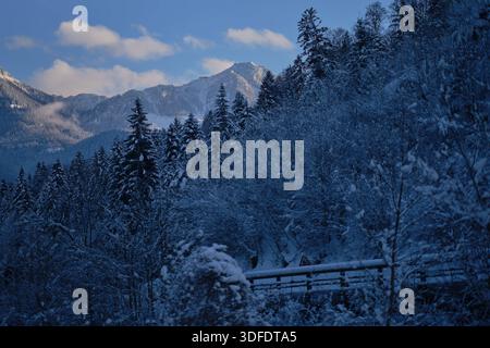 Berchtesgaden, Deutschland 11.01.2026: IM Bild: Blick auf den schneebedeckten Jenner mit winterlich verschneiten Nadel- und Laubbäumen an den Hängen. Die alpine Landschaft zeigt dichten Wald im Vordergrund und den markanten Gipfel im Hintergrund unter blauem Himmel mit einzelnen Wolken. Bayern *** Berchtesgaden, Germania 11 01 2026 nella foto Vista del Jenner innevato con conifere innevate e alberi decidui sulle pendici il paesaggio alpino mostra una fitta foresta in primo piano e la suggestiva vetta sullo sfondo sotto un cielo blu con poche nuvole Bavaria Copyright: XFoto Foto Stock