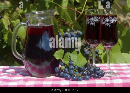Caraffa di vetro con vino rosso e bicchiere di vino sul tavolo. Vino in caraffa con uve mature di un vigneto sullo sfondo Foto Stock