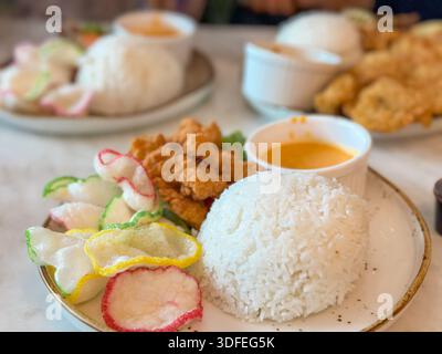 Pollo fritto malese con riso, salsa salata, cracker di gamberi e lattuga su un piatto bianco pulito. Foto Stock