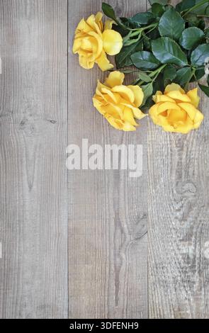 Su uno sfondo rustico di legno chiaro lussuose rose gialle con delicati petali. Vista dall'alto, copia spazio Foto Stock