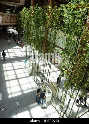 Vista di luci e ombre giocano sul pavimento, accentuando il design moderno con alberi in piantagioni, creando una tranquilla oasi urbana, Tokyo, Tokyo, Ja Foto Stock