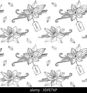 Disegno a mano senza cuciture realizzato con fiori e panini di vaniglia in fiore e baccelli di vaniglia, disegno botanico dettagliato Illustrazione Vettoriale