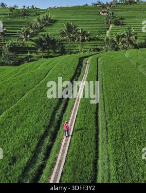 Percorso turistico femminile a piedi dei campi di riso, vista aerea del drone sulle risaie smeraldo a Ubud Bali solo Foto Stock