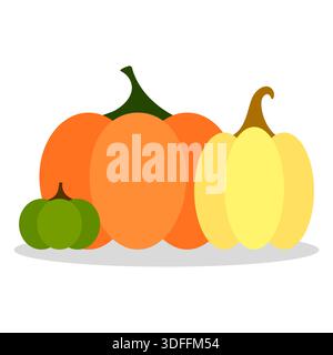 Straordinarie zucche autunnali. Verdure da raccolto tradizionali. Spettacolare paesaggio vettoriale. Prodotti agricoli nutrienti. EPS 10. Illustrazione Vettoriale