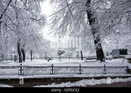 Parco pubblico durante l'inverno con molta neve sugli alberi e sul terreno Foto Stock