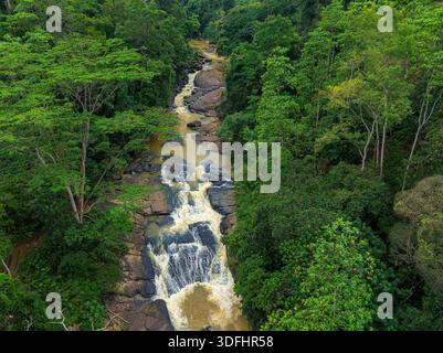 Vista aerea del fiume selvaggio che scorre attraverso la lussureggiante foresta pluviale tropicale, Sinharaja, Sri Lanka Foto Stock