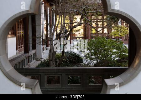 Ammira attraverso un cancello lunare il cortile del giardino cinese presso i giardini botanici di Huntington a Pasadena, California, Stati Uniti. Foto Stock