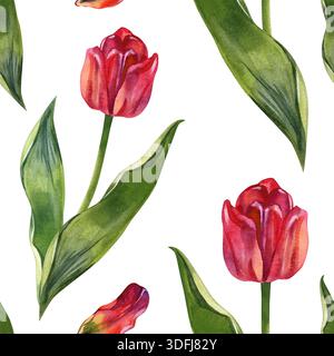 Elegante motivo ad acquerello senza cuciture con tulipani rossi e foglie verdi lussureggianti. Design botanico dipinto a mano con piastrelle ripetute, perfetto per Foto Stock