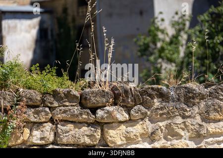 Un rustico muro in pietra fatto di muratura intemprata con erba selvatica secca e erbacce verdi che crescono sulla cima sotto la luce del sole in un villaggio rurale Foto Stock