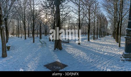 Parigi, Francia - 01 07 2026: Fiocchi di neve. Vista panoramica della navata centrale nel giardino delle Tuileries sotto la neve e il cielo azzurro soleggiato Foto Stock