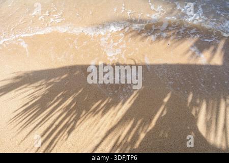 L'ombra di una palma si estende attraverso la sabbia dorata di Anaho Beach, Nuku Hiva, Polinesia francese, creando un'atmosfera tropicale e serena Foto Stock