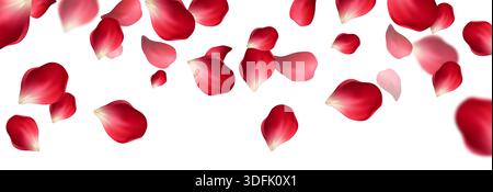 Sfondo Falling Rose Petals Illustrazione Vettoriale