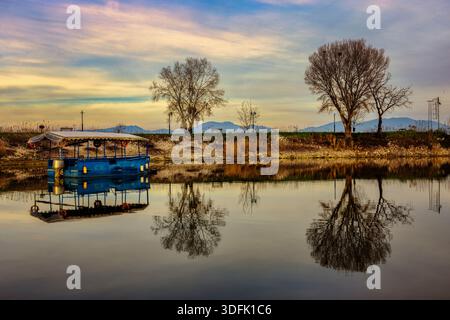 Kerkini, Grecia settentrionale: Una barca blu galleggia su acque tranquille e riflettenti all'alba, incorniciata da alberi senza foglie e dalla luce pastello soffusa. Foto Stock