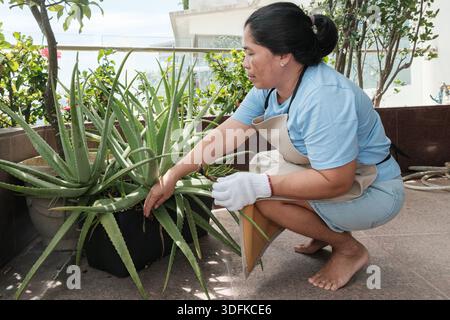 Una persona si inginocchia accanto a una pianta di aloe vera su un balcone. Indossano guanti e grembiule mentre si prendono cura dell'impianto. Foto Stock