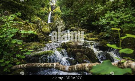 Piccola cascata su un ruscello di montagna o creek, tra rocce di muschio, acqua che scorre tra i sassi, autunno, Wicklow, Irlanda Foto Stock