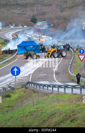 Agricoltori spagnoli in sciopero con bandiere e fumo da pneumatici in fiamme sull'A-52 Foto Stock