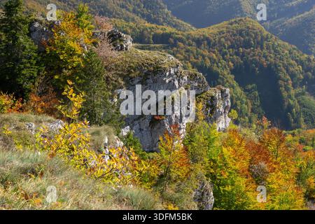 La vista delle aspre scogliere si erge in un arazzo di colori autunnali, dove alberi dorati e verdi incontrano la pietra grigia a Velka Fatra, Banskobystricky Foto Stock