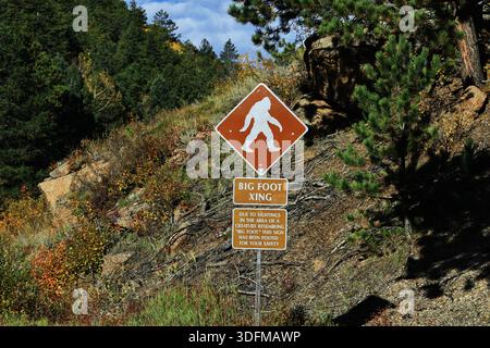 Il cartello Big Foot Xing sorge su una collina rocciosa con arbusti e alberi sempreverdi accanto alla Pikes Peak Highway, Colorado Springs, Colorado, USA, alla luce del giorno. Foto Stock